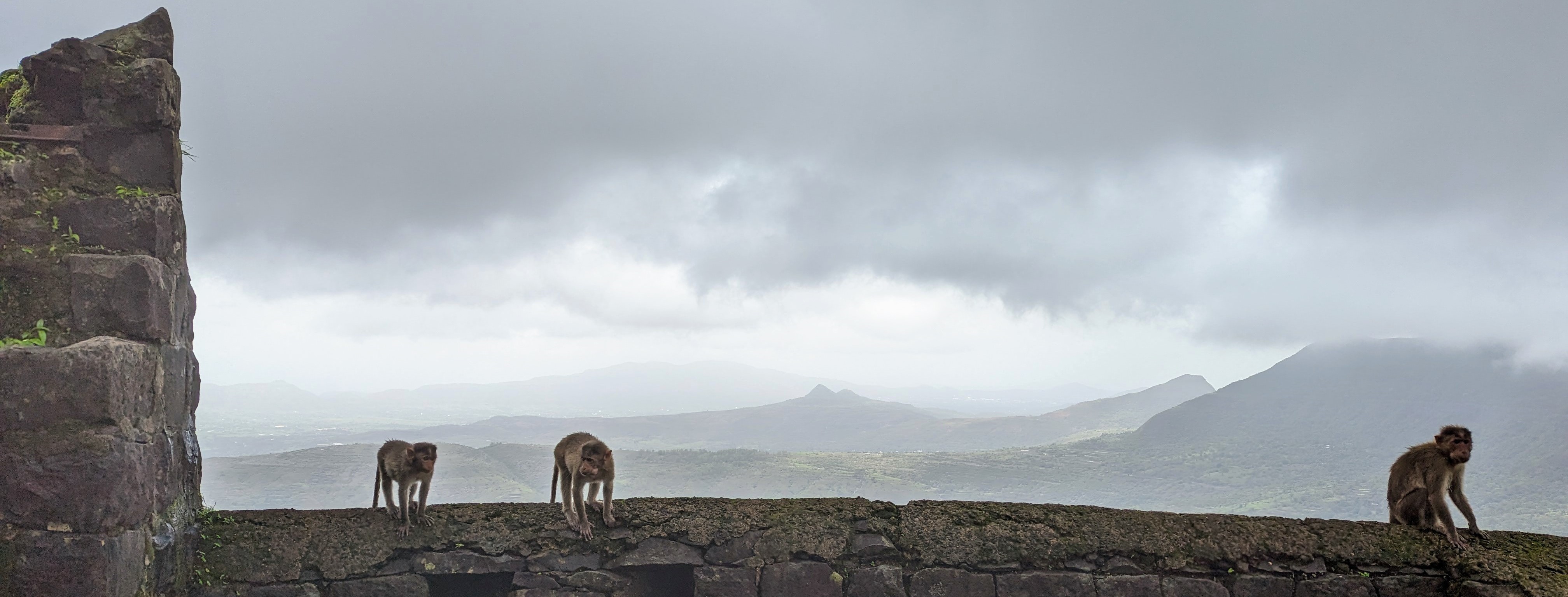 Tikona Fort cover image