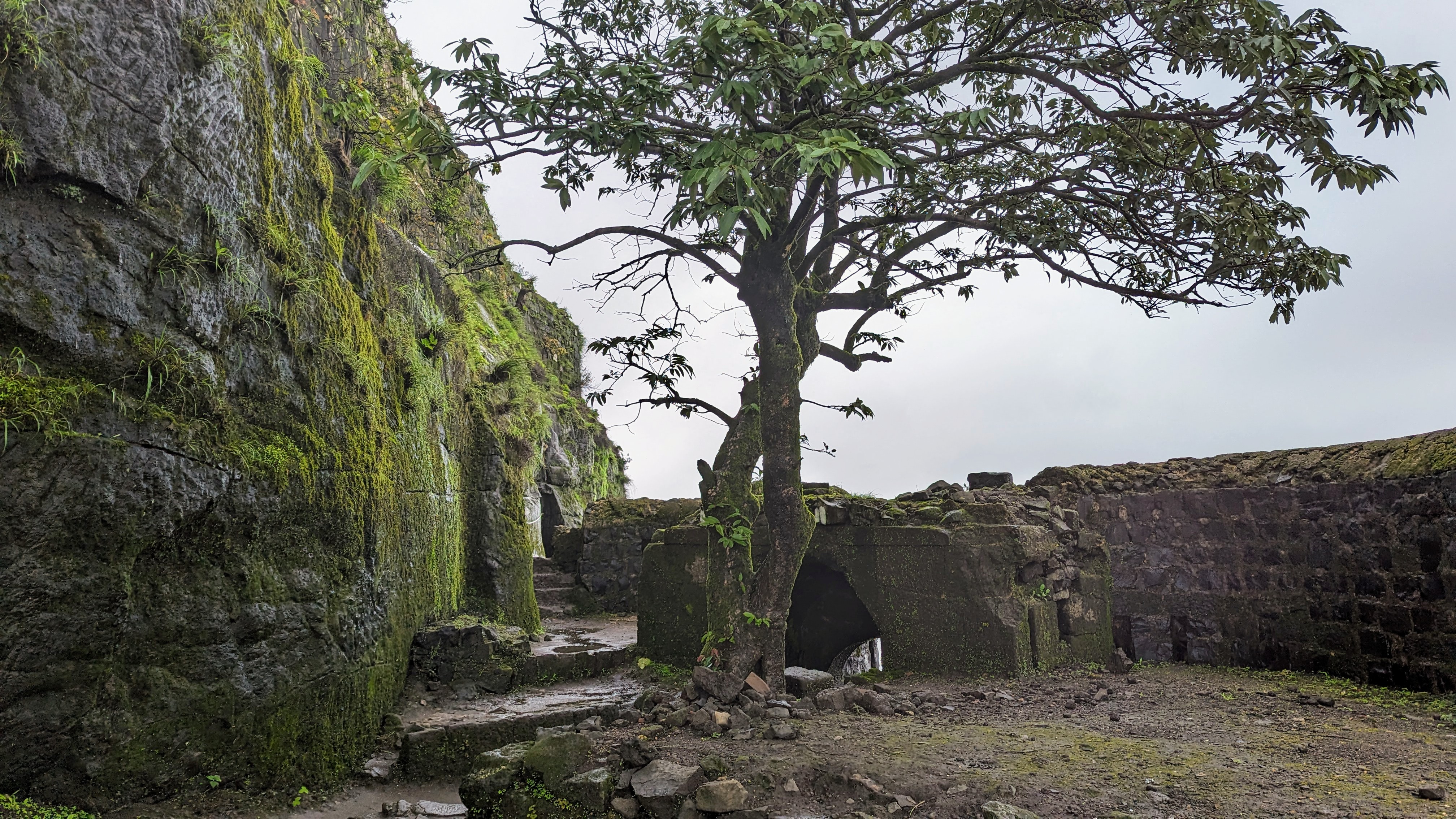 Tikona Fort image